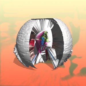 “// P E N T I U M 2 // ダニ”的封面