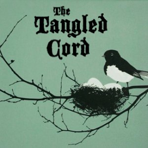 FREE CD