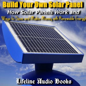 Build Your Own Solar Panel - How Solar Panels Work and Ways to Save and Make Money with Renewable Energy