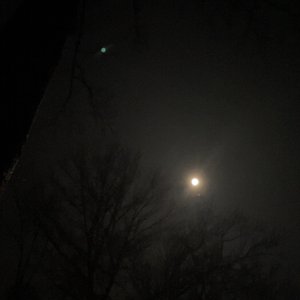 noveks 的头像