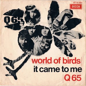 World Of Birds