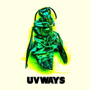 Locust