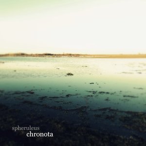 Chronota