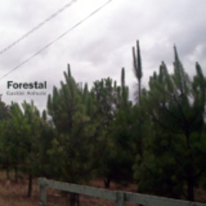 Forestal