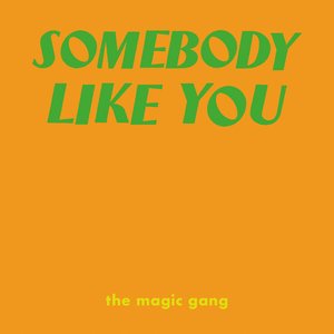 Somebody Like You - Single