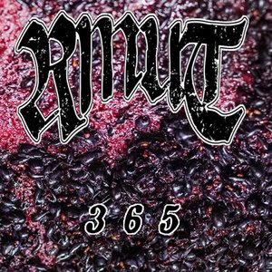 3 6 5