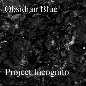 Project Incognito