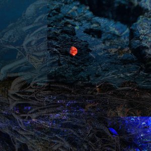 Distortion BLUE [Explicit]