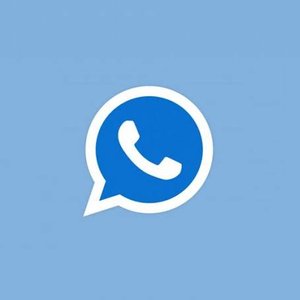 “Tipos de Zap”的封面