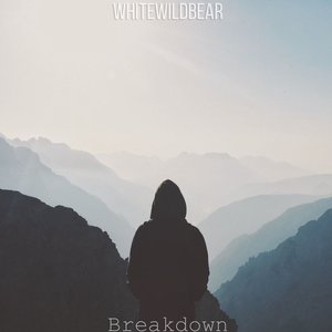 Breakdown