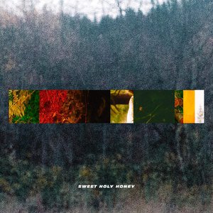 Sweet Holy Honey - Single
