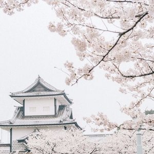 Rainy Day In Tokyo