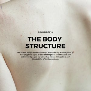 Body Structure