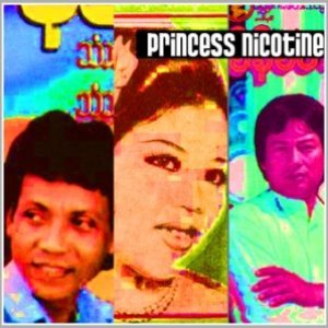 Princess Nicotine: Folk And Pop Sounds Of Myanmar (Burma) Vol. 1