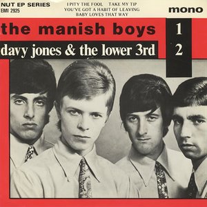 The Manish Boys / Davy Jones And The Lower Third