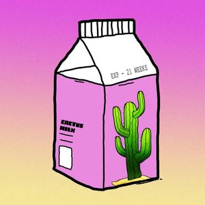 21 Weeks - Single