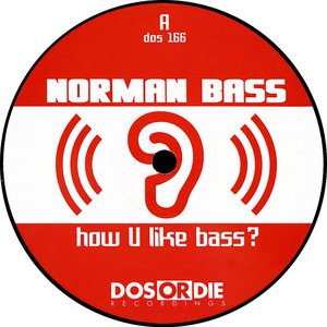 How U Like Bass?