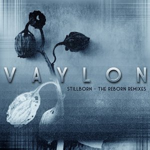 Stillborn - The Reborn Remixes