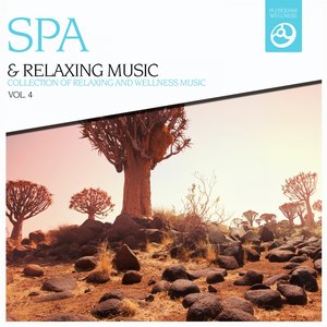 SPA & Relaxing Music, Vol. 4