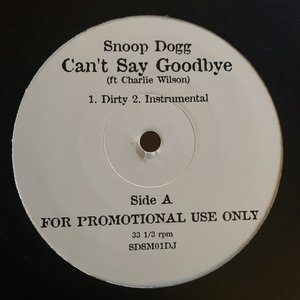 Can't Say Goodbye
