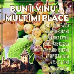 Bun Ii Vinu' Mult Imi Place