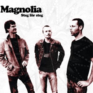 Steg för steg