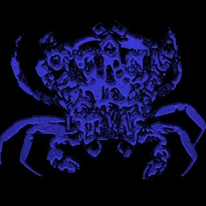 Avatar for Crustacea Zoëa Larvae