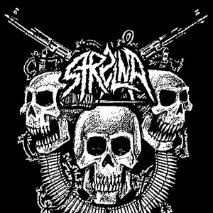Strelna 的头像