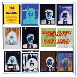 Fuzzy Logic B-Sides And Besides