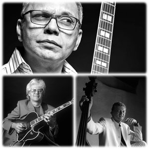 Biréli Lagrène, Larry Coryell & Miroslav Vitous 的头像