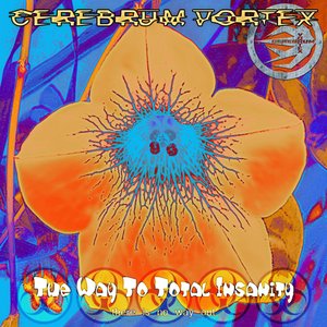 The Way To Total Insanity