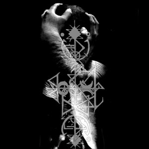 Avatar for No Mercy for the Mind