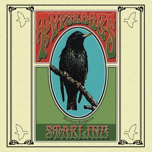 Starling
