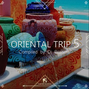 Oriental Trip, Vol. 5 (Compiled by Dj Brahms)