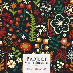 Image for 'ProJect MediTerraNèo'