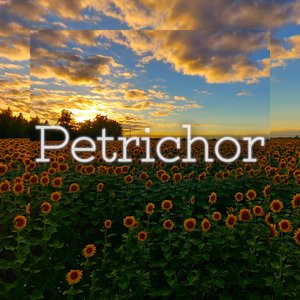 Petrichor