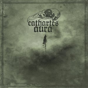 Cathartes Aura