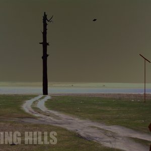 Flying Hills 的头像