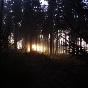 Die Ruhe vor dem Sturm