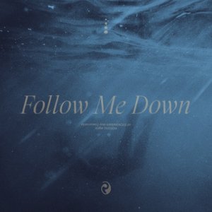 Follow Me Down - Single
