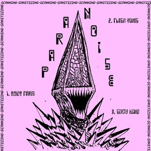 Split+Algorithm Acolyte