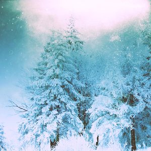 Divining The Last Light