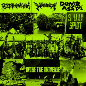 Noise the Universe 3 way split
