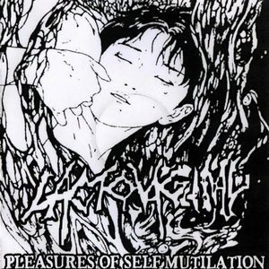 Pleasures Of Self Mutilation