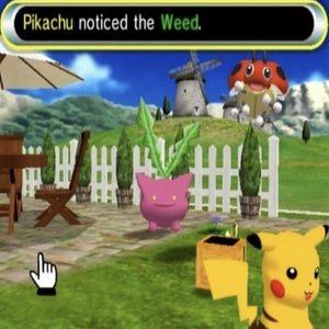 Pikachu Noticed the Weed