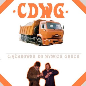 “CDWG”的封面