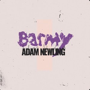 Barmy - Single