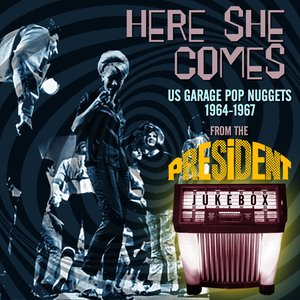 Here She Comes: US Garage Pop Nuggets 1964-1967