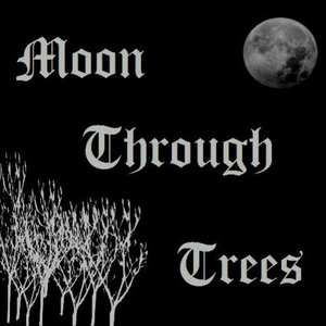 Moon Through Trees 的头像