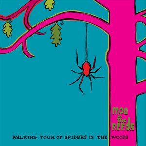 Walking Tour of Spiders in the Woods